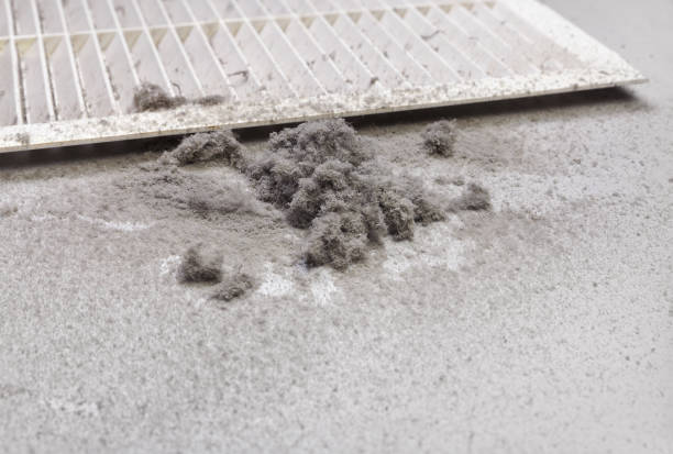 Best Air Duct Cleaning Near Me  in Laureles, TX
