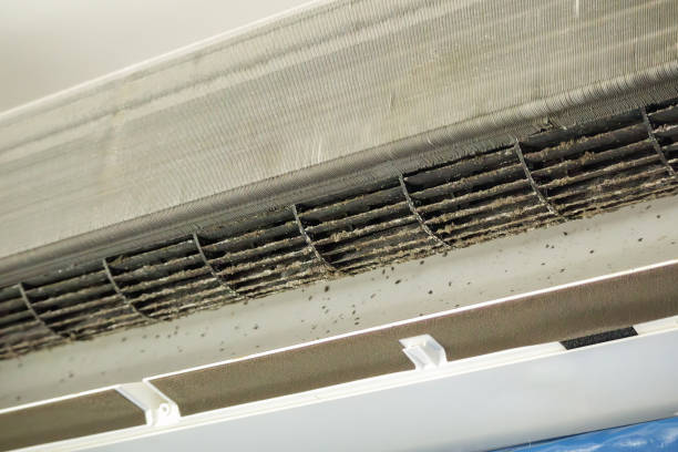 Best Affordable HVAC Duct Cleaning  in Laureles, TX
