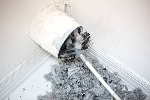 Best Air Duct Cleaning Near Me  in Laureles, TX